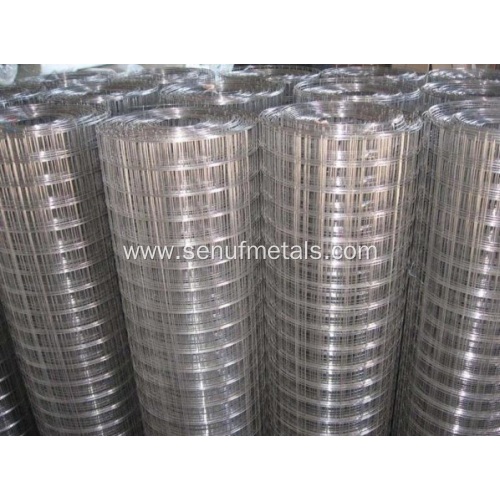 stainless steel welded wire mesh